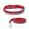 Collier et laisse de chien super bling coloré et laisse